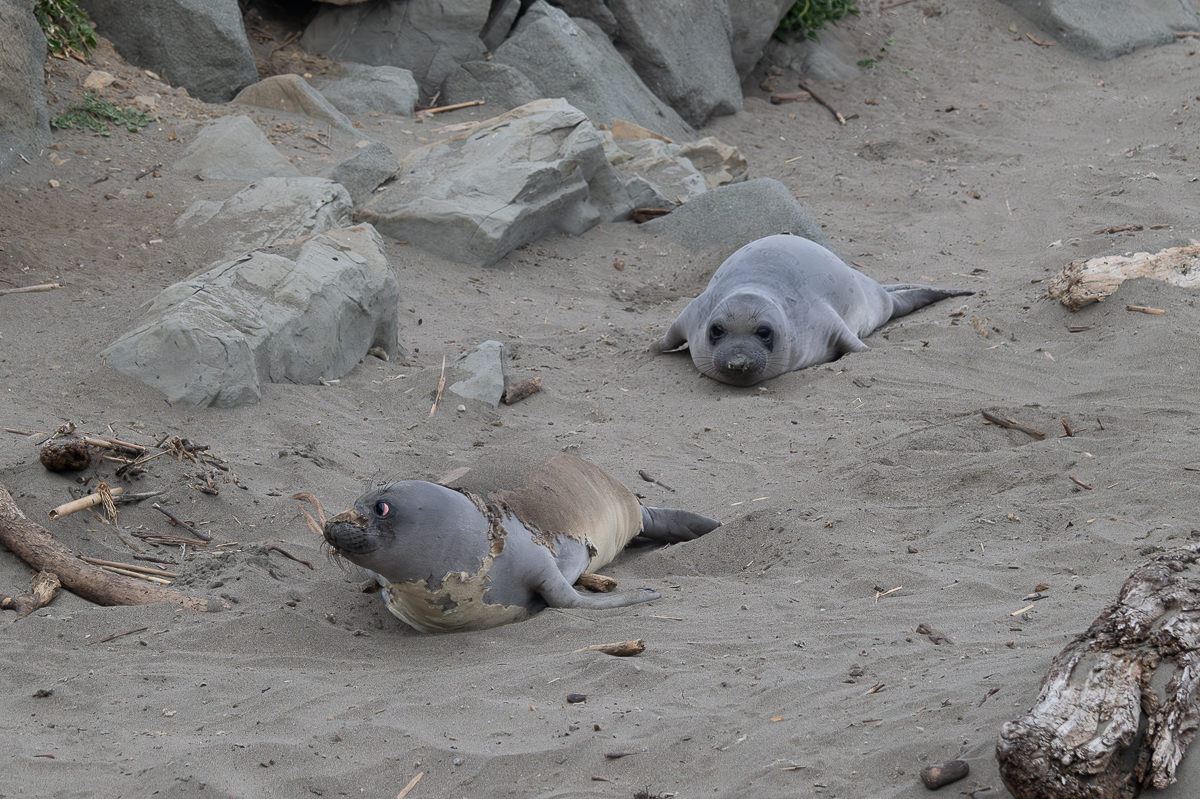 DSC_4696.jpg