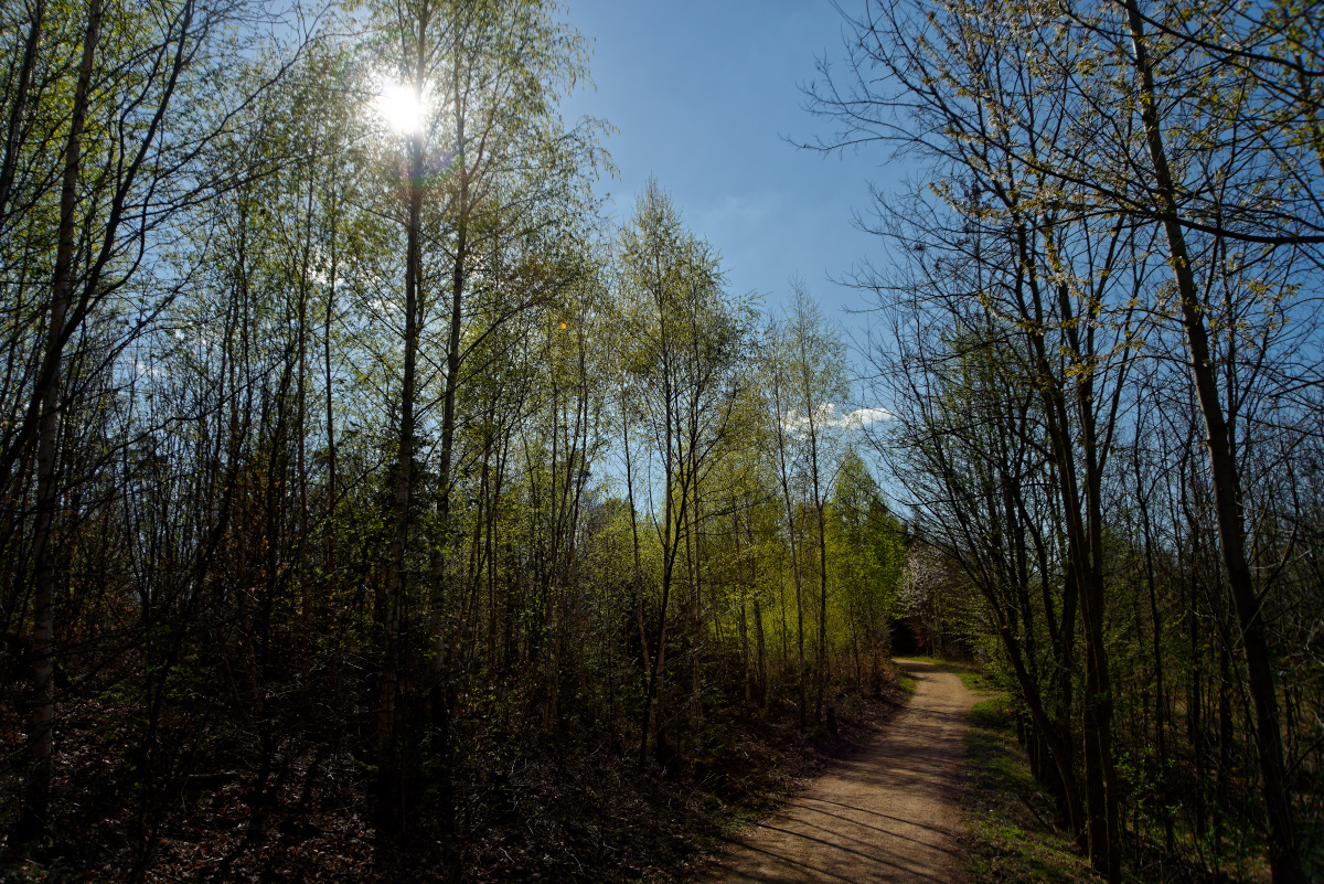 DSC_4699_DxO.jpg