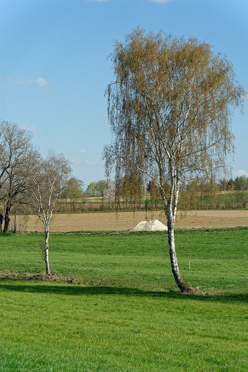DSC_4708_DxO.jpg