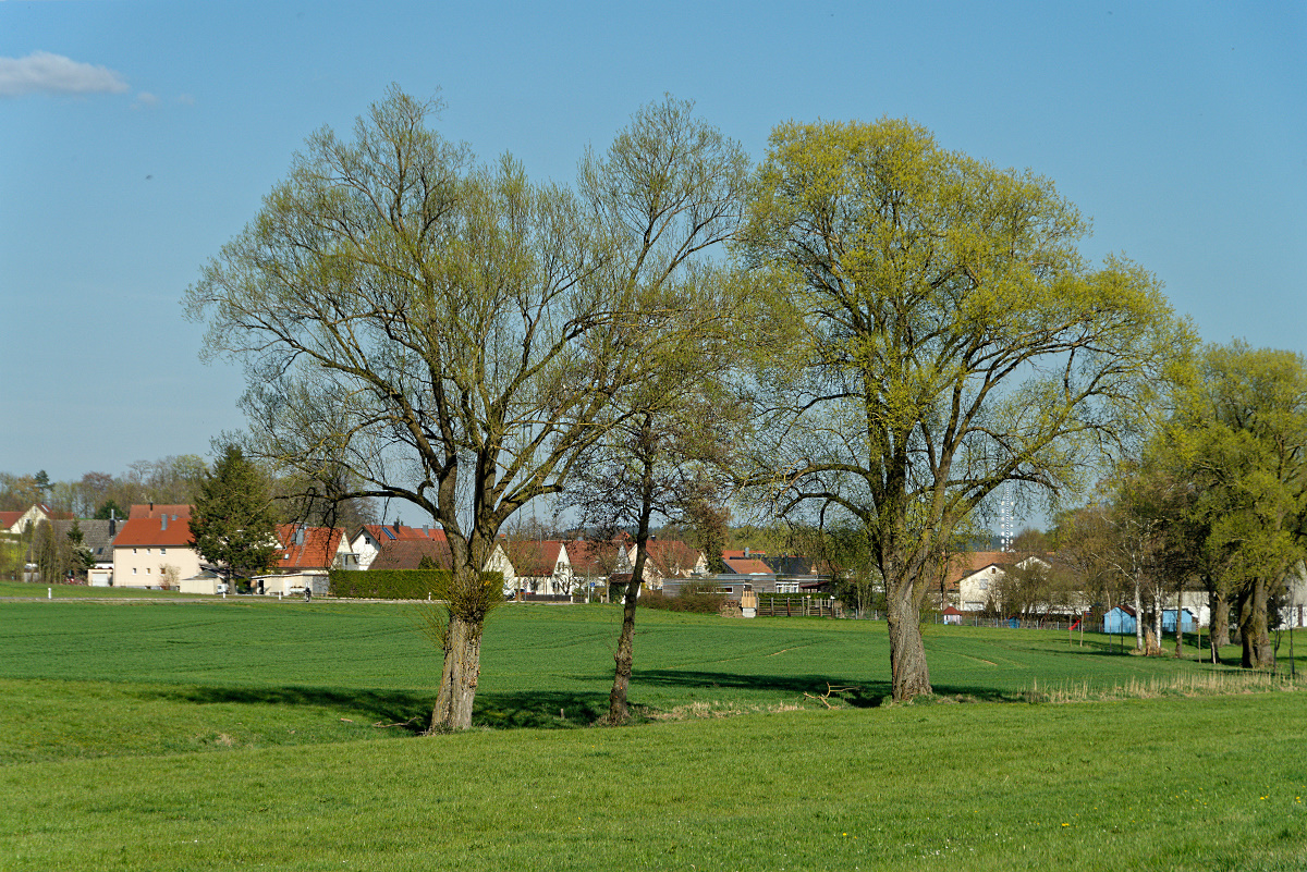 DSC_4711_DxO.jpg