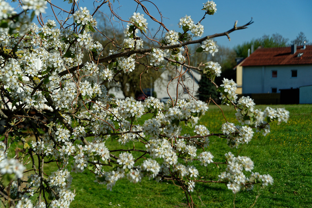 DSC_4717_DxO.jpg