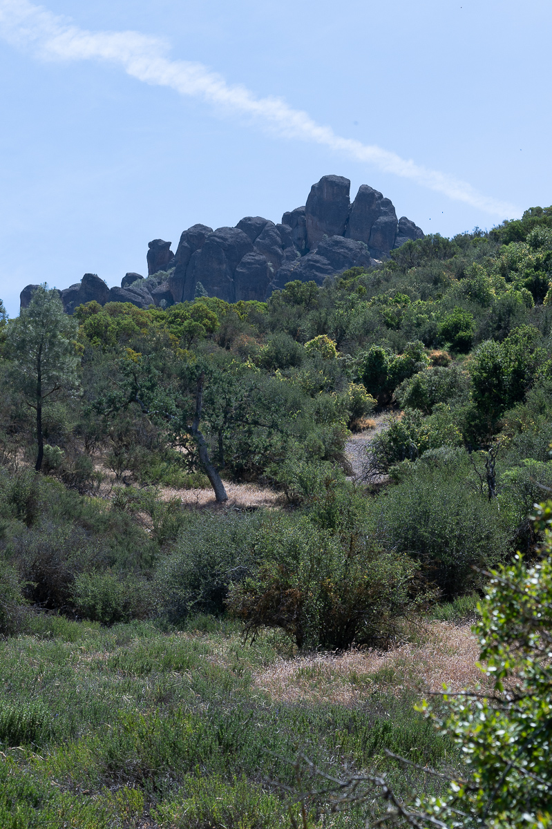DSC_4718.jpg