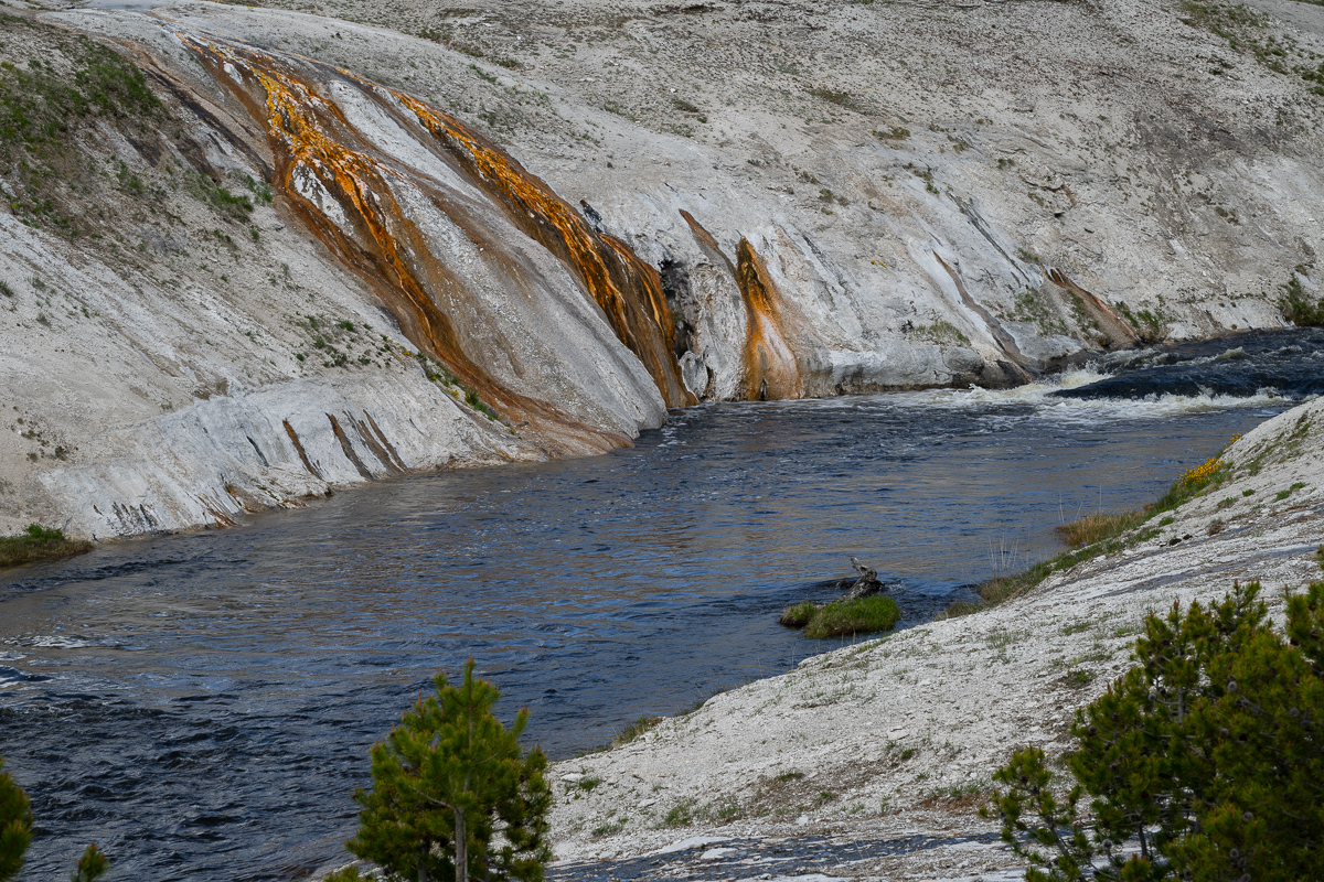 DSC_4729.jpg