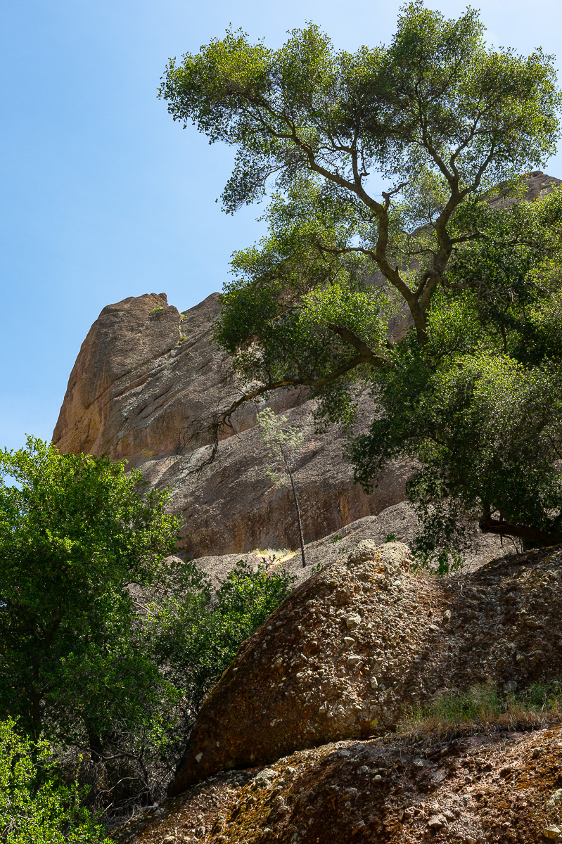 DSC_4729.jpg