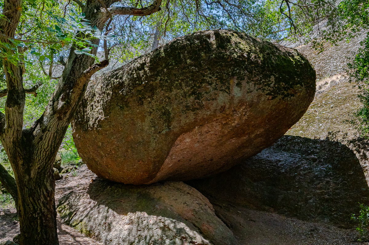 DSC_4731.jpg