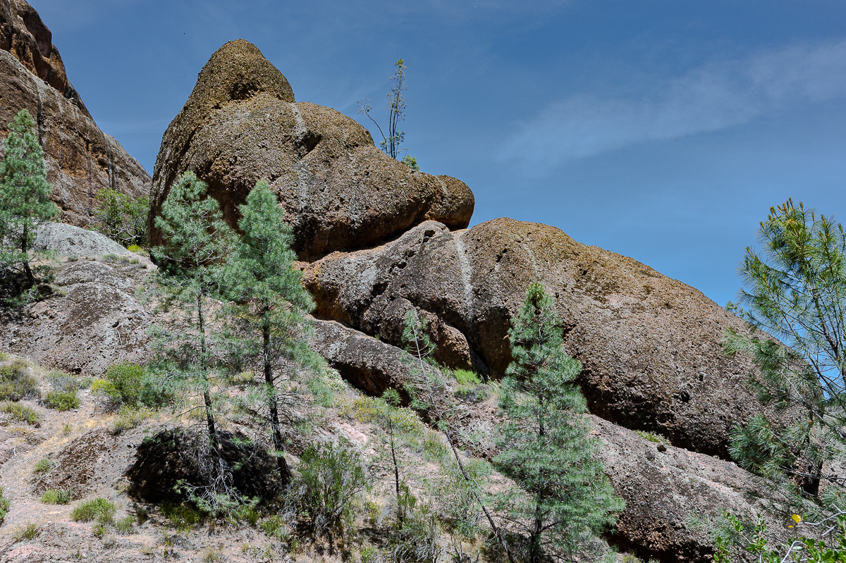 DSC_4739.jpg