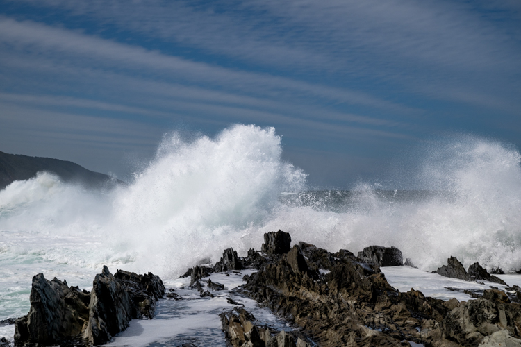 DSC_4742.jpg