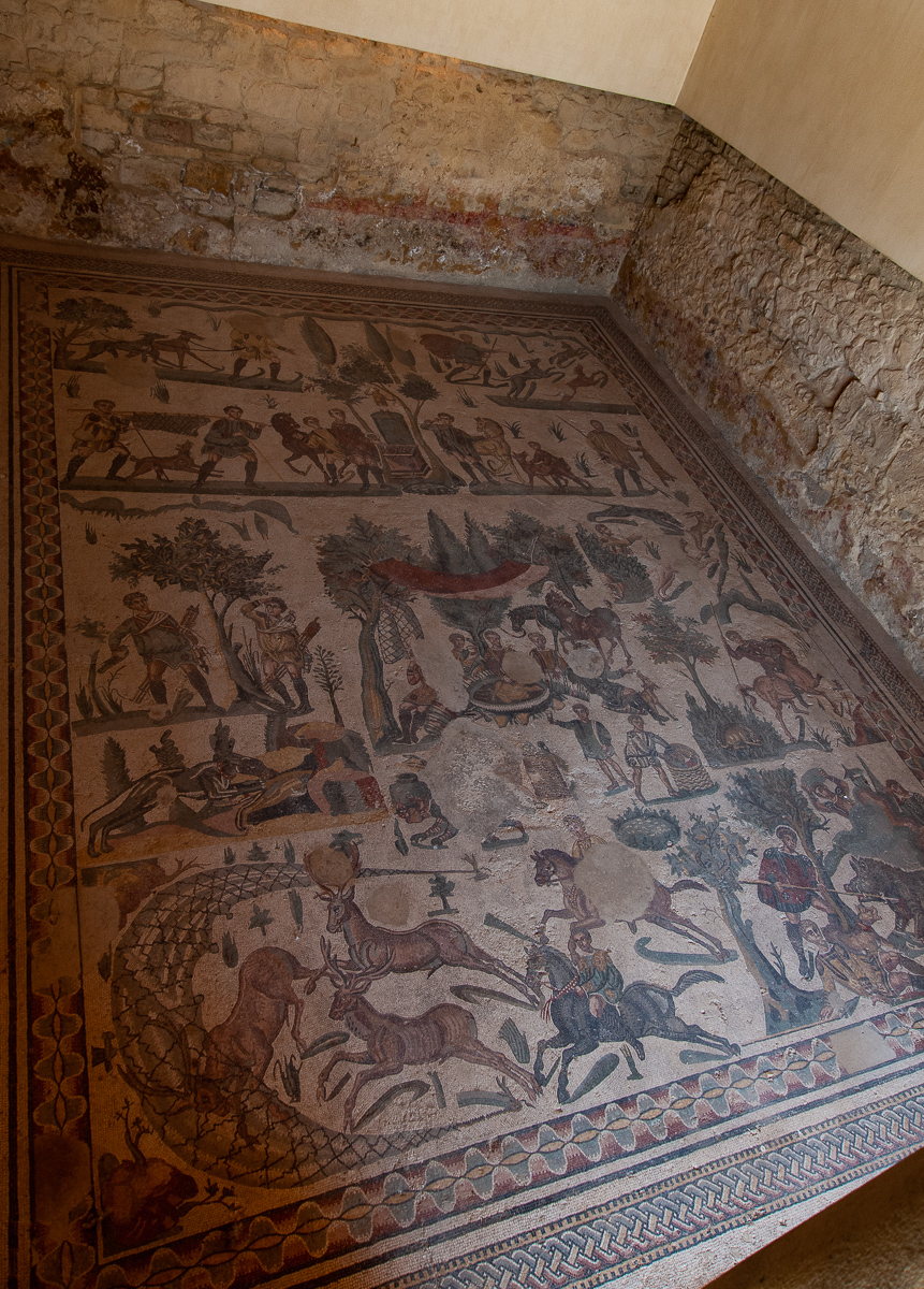 DSC_4767.jpg