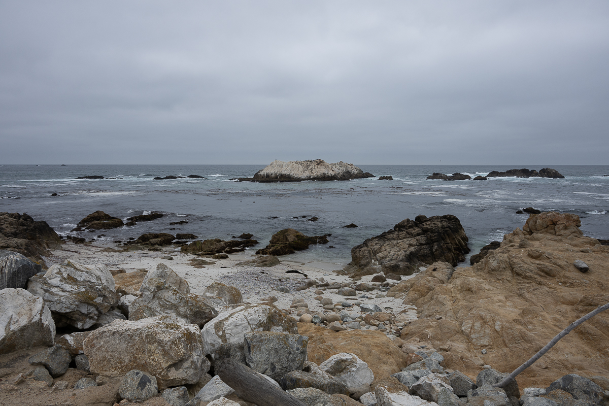 DSC_4785.jpg