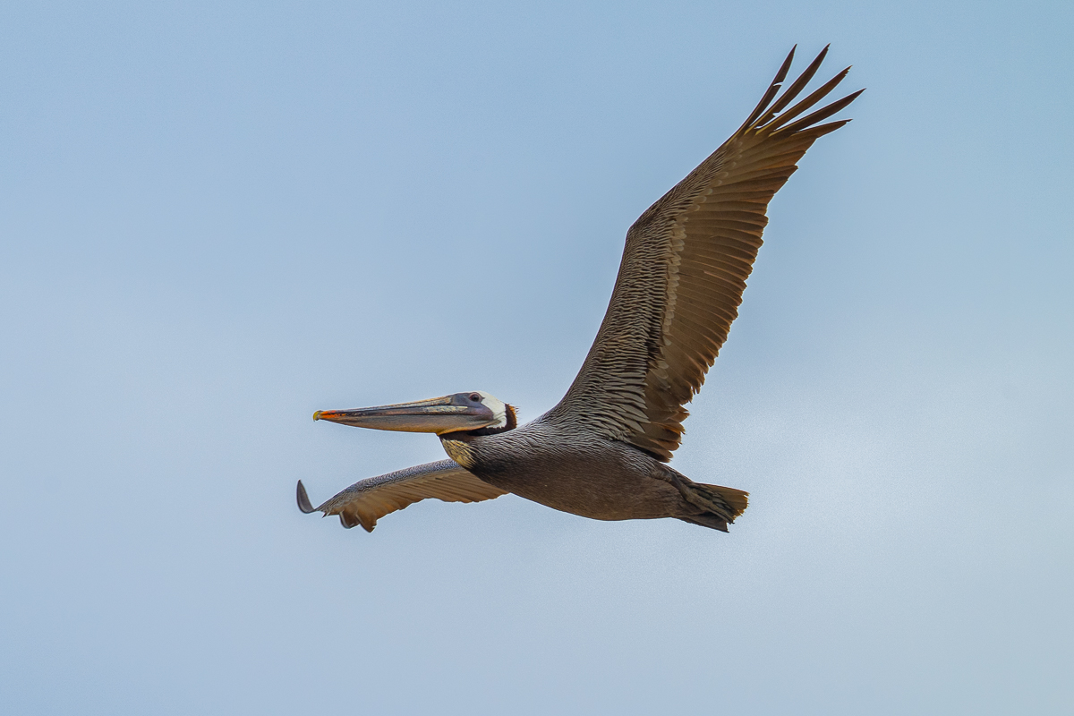 DSC_4804.jpg