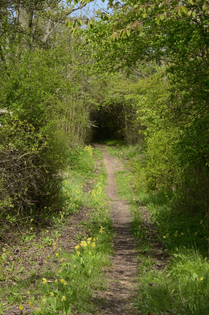 DSC_4812_00001n1.jpg