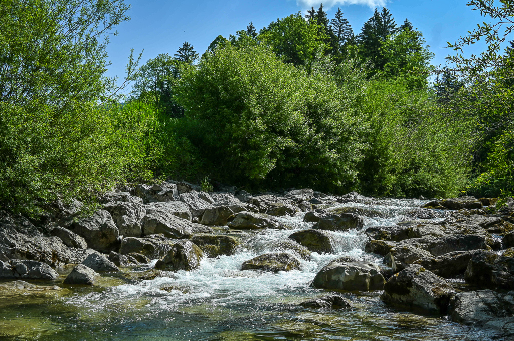 DSC_4819.jpg