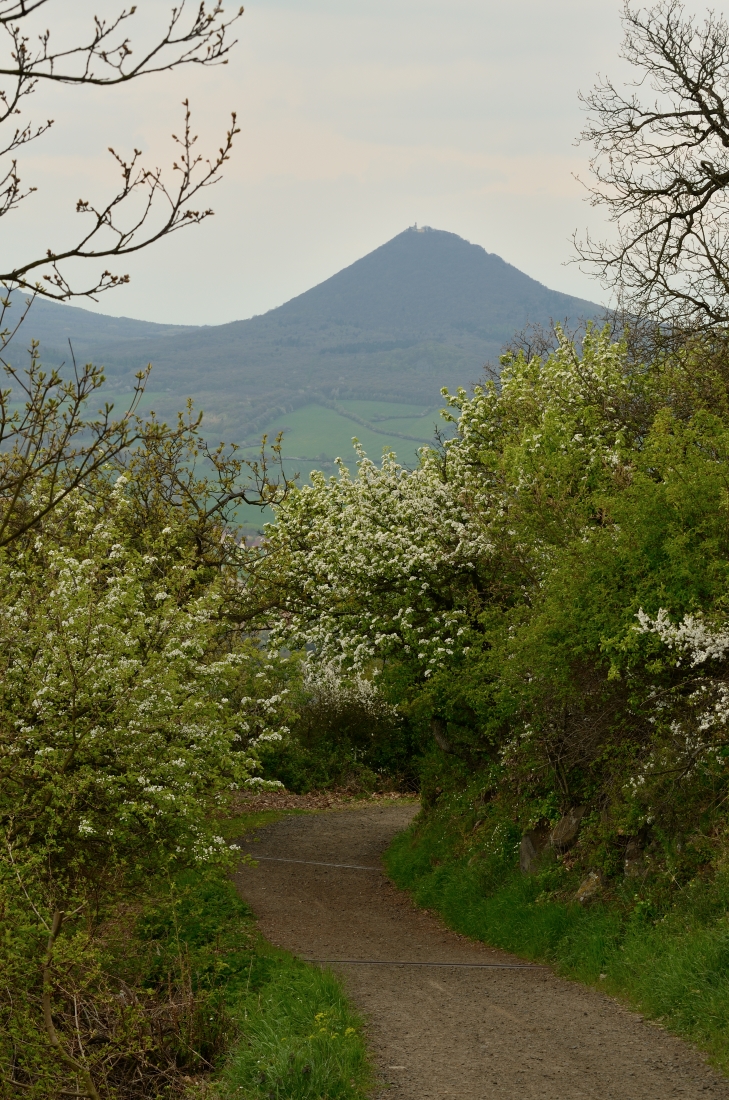 DSC_4835_00001n.jpg