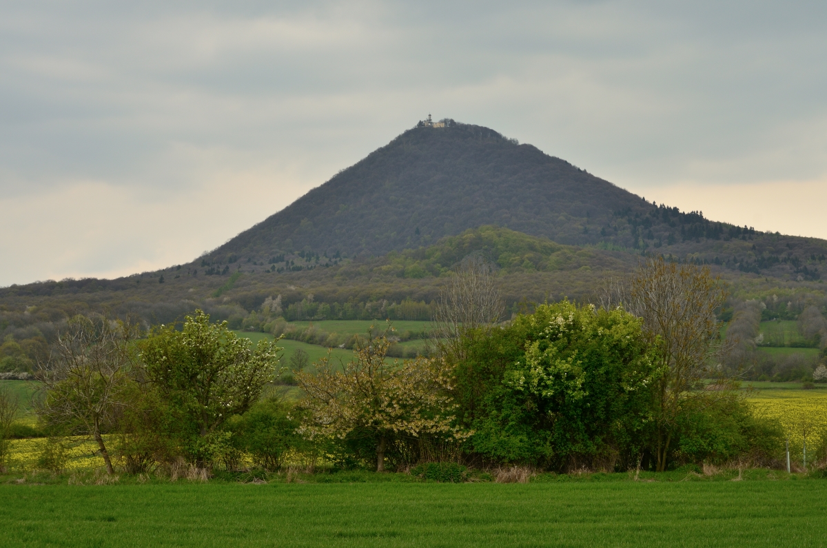DSC_4847_00001n.jpg