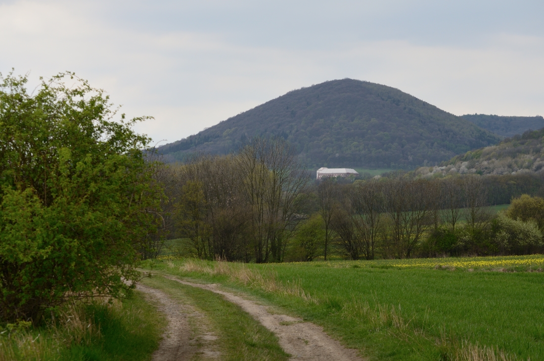 DSC_4849_00001n.jpg