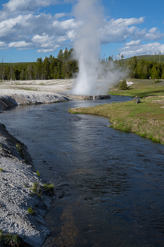 DSC_4865.jpg