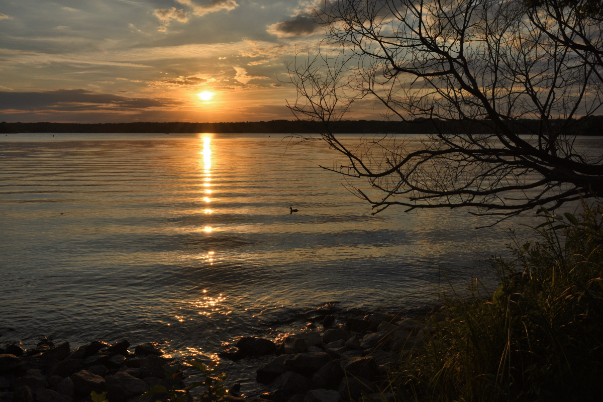 DSC_4877.JPG