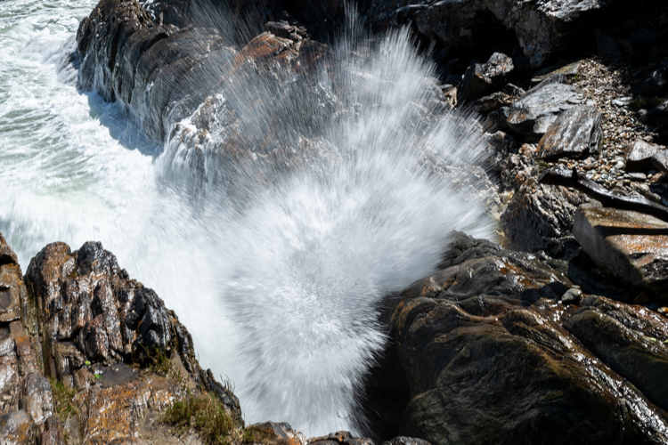 DSC_4886.jpg
