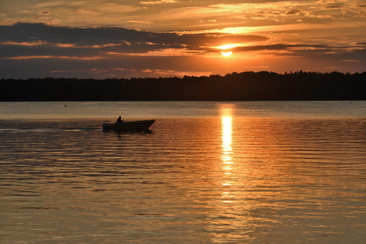 DSC_4888.JPG