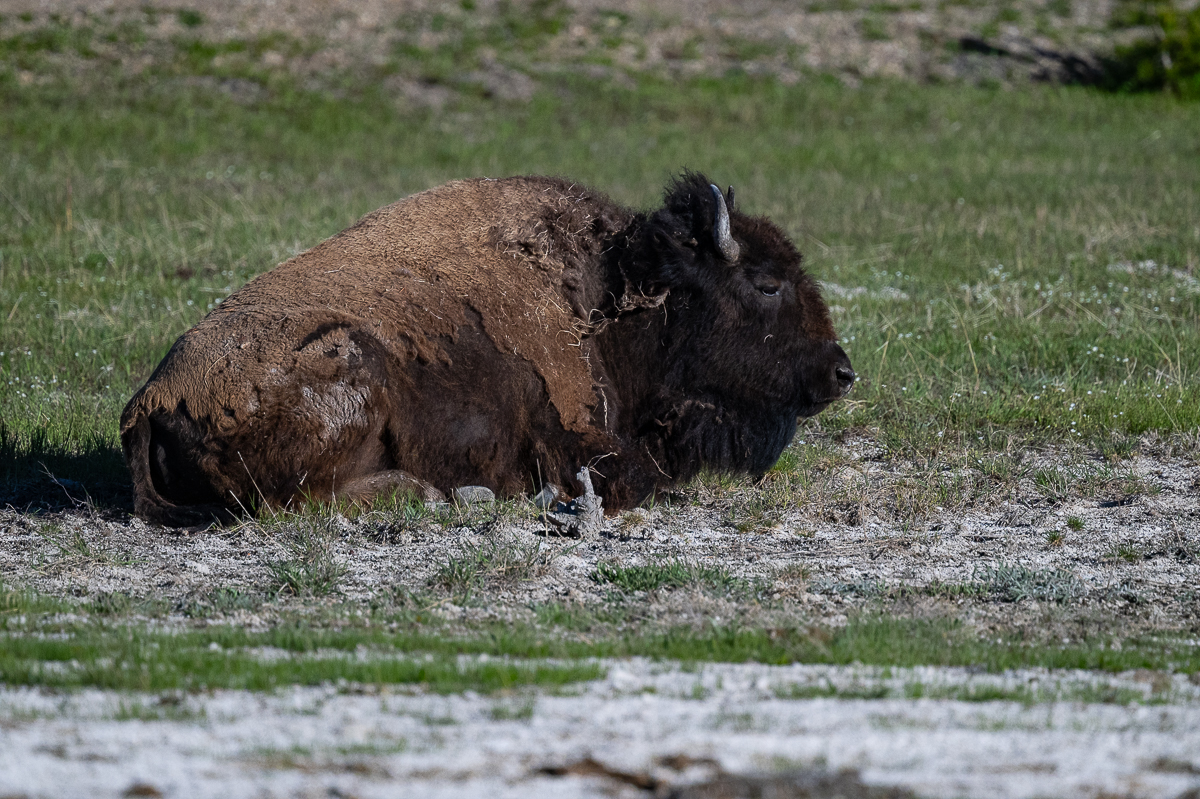DSC_4922.jpg