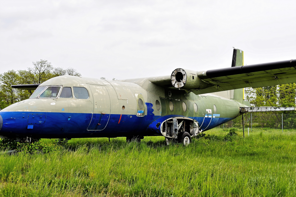 DSC_4946.jpg