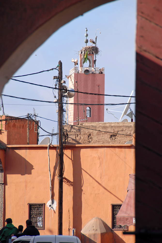 DSC_4951.jpg