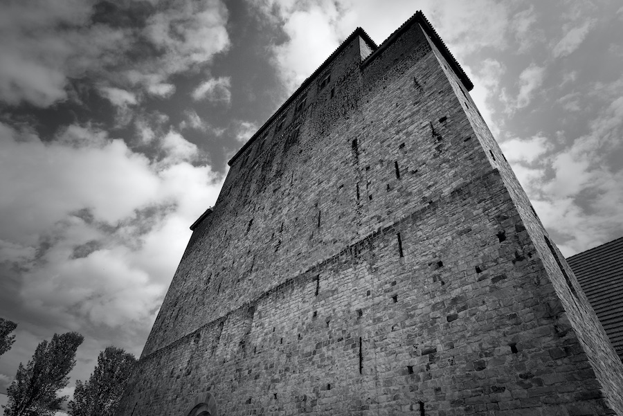 DSC_4953.jpeg