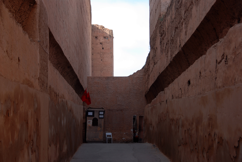 DSC_4956.jpg