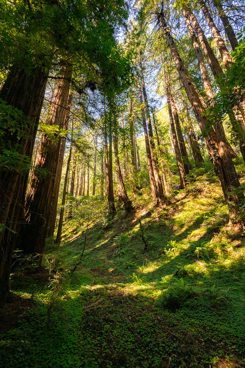 DSC_4961.jpg