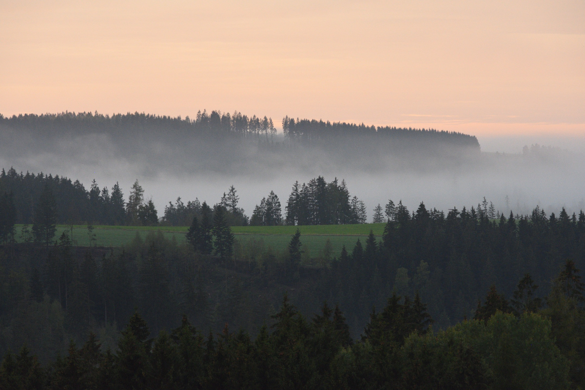 DSC_4984.JPG