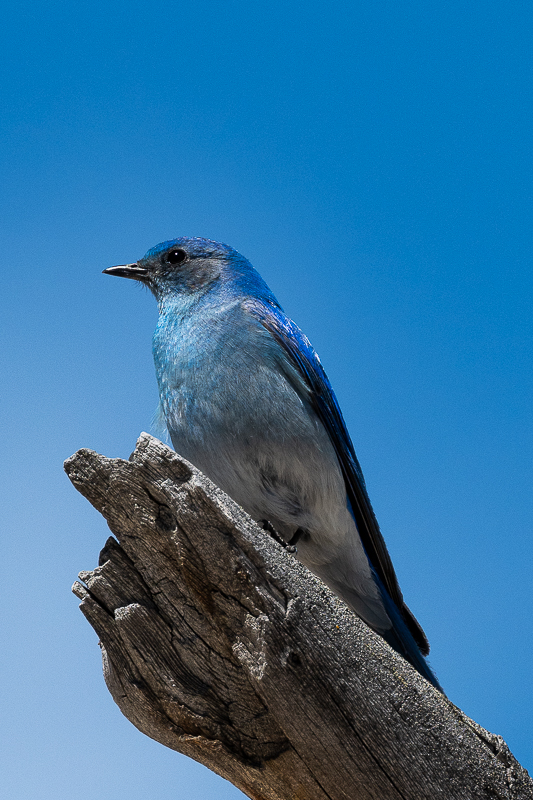 DSC_4994.jpg