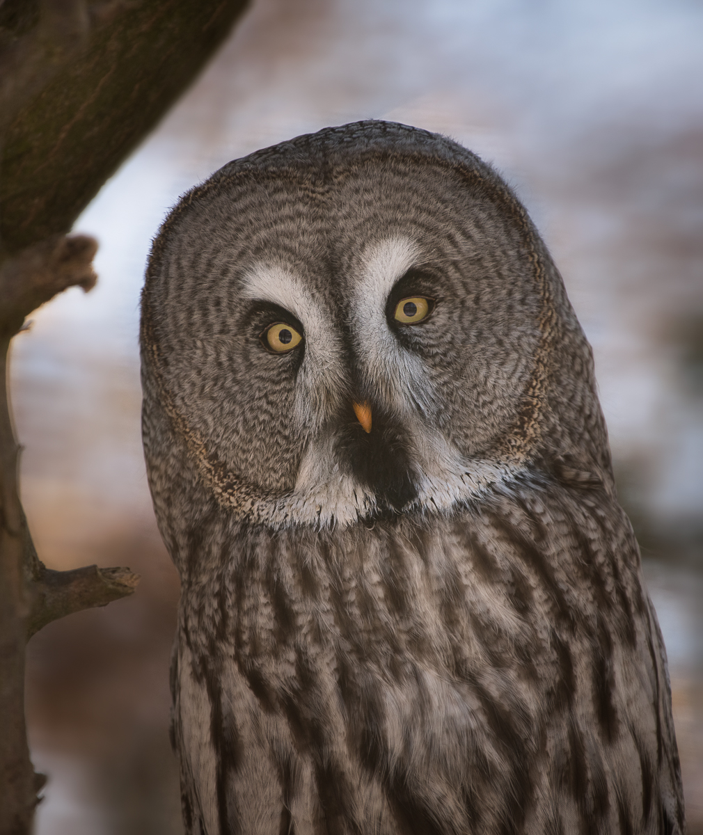 DSC_5011-Bearbeitet-1.jpg