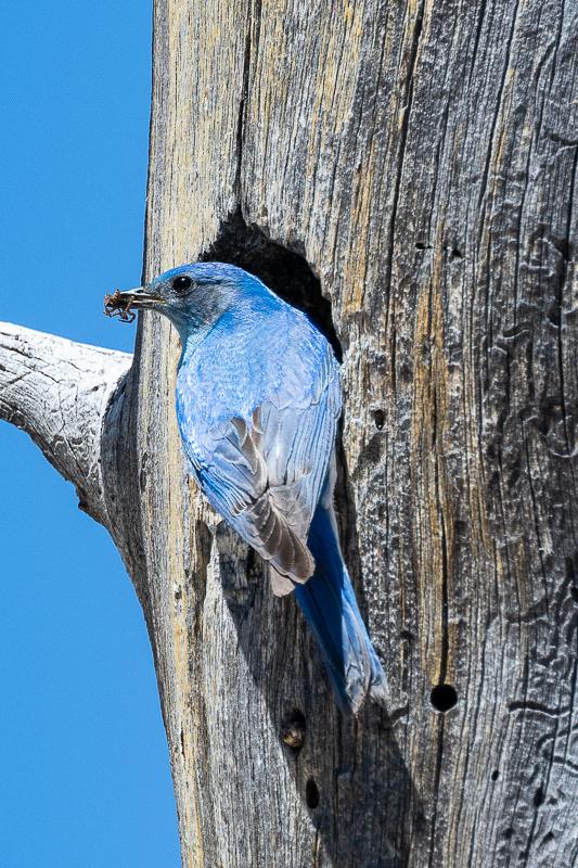 DSC_5015.jpg