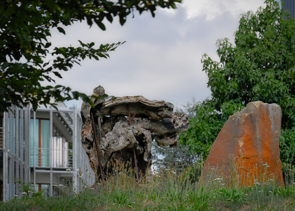 DSC_5016.jpg