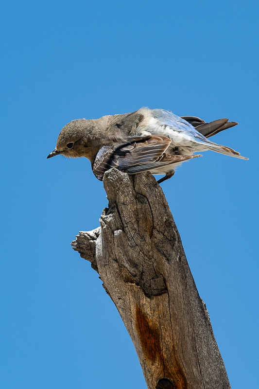 DSC_5024.jpg