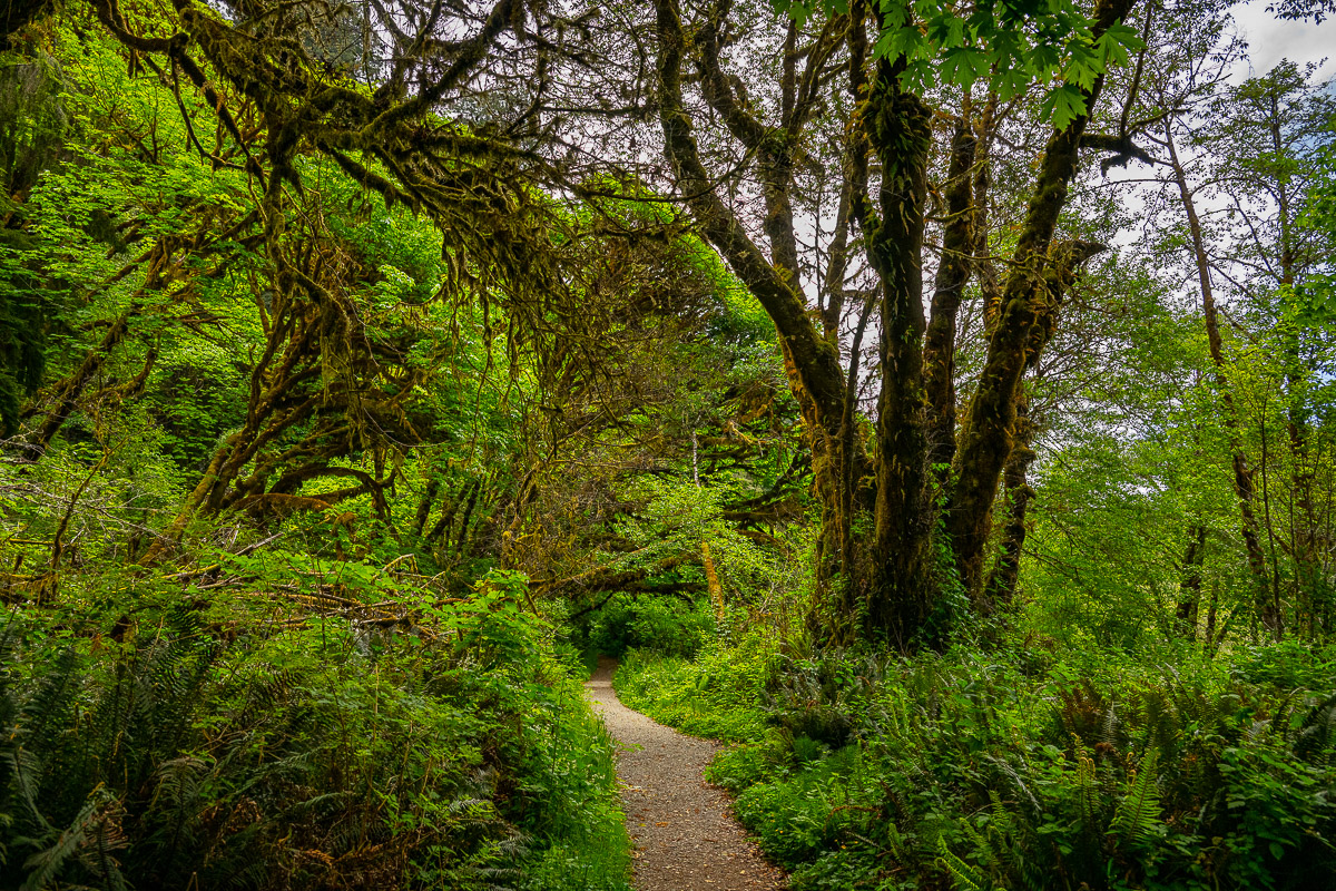 DSC_5029.jpg