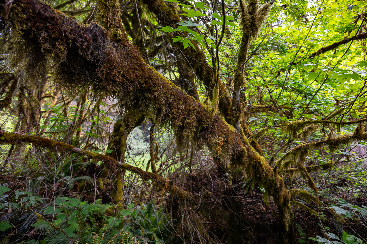 DSC_5031.jpg