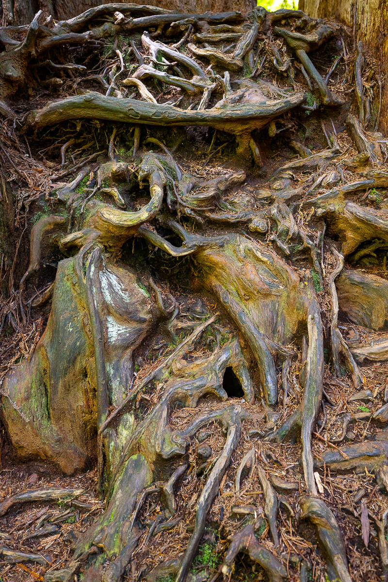 DSC_5038.jpg