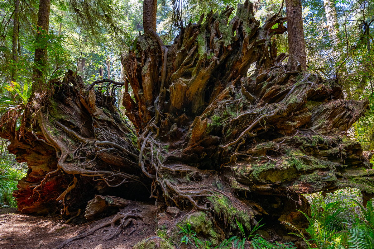 DSC_5045.jpg