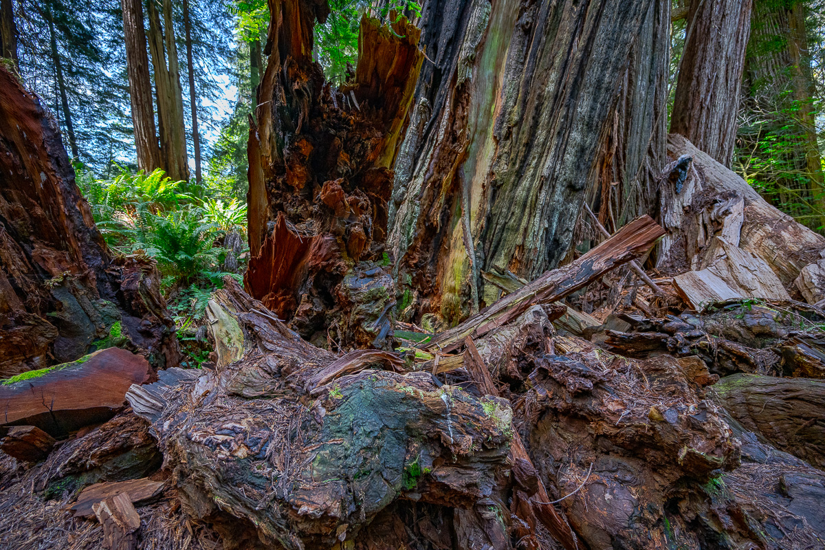 DSC_5047.jpg