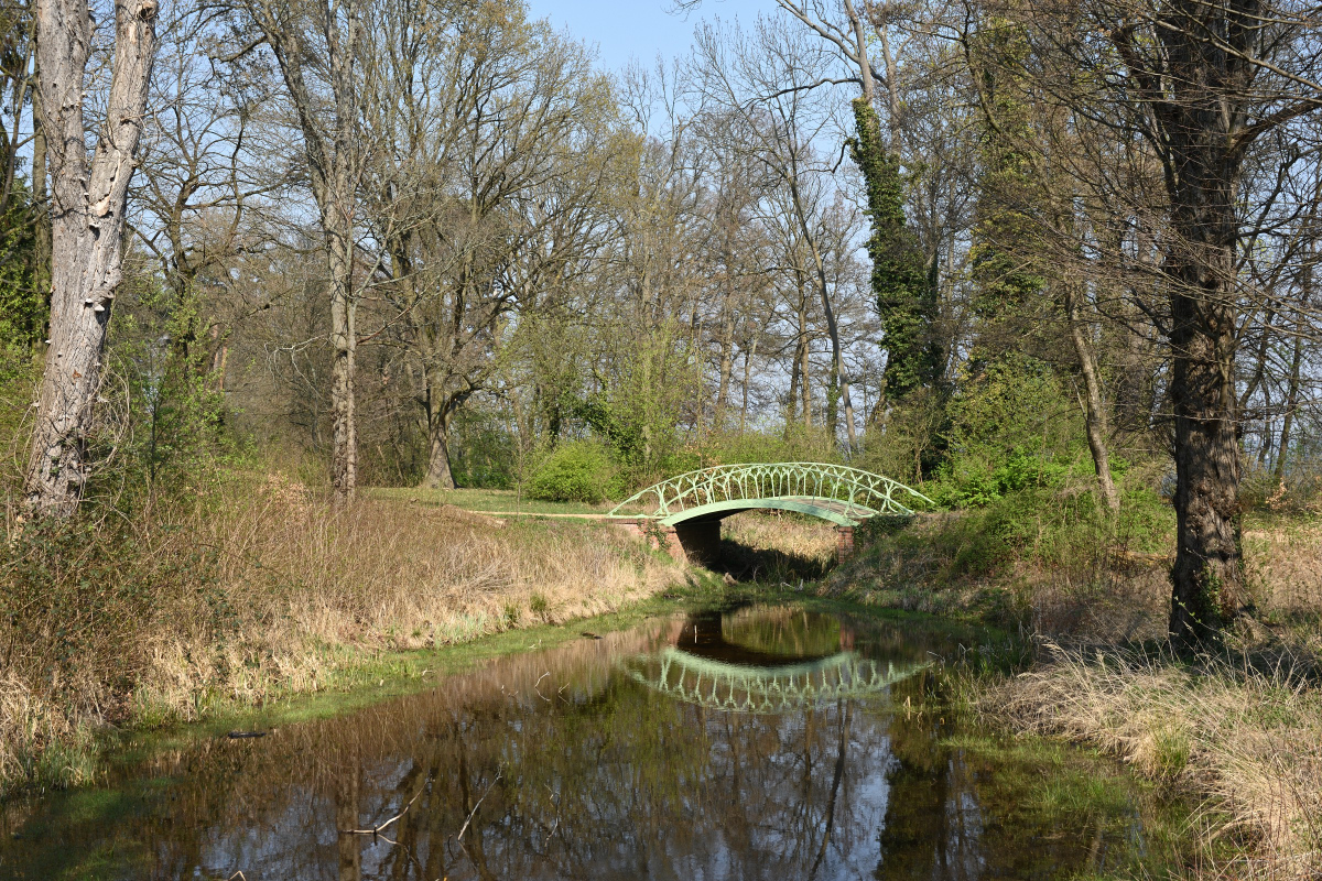 DSC_5050.JPG