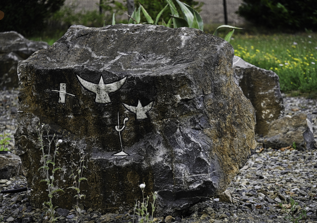 DSC_5074.jpg