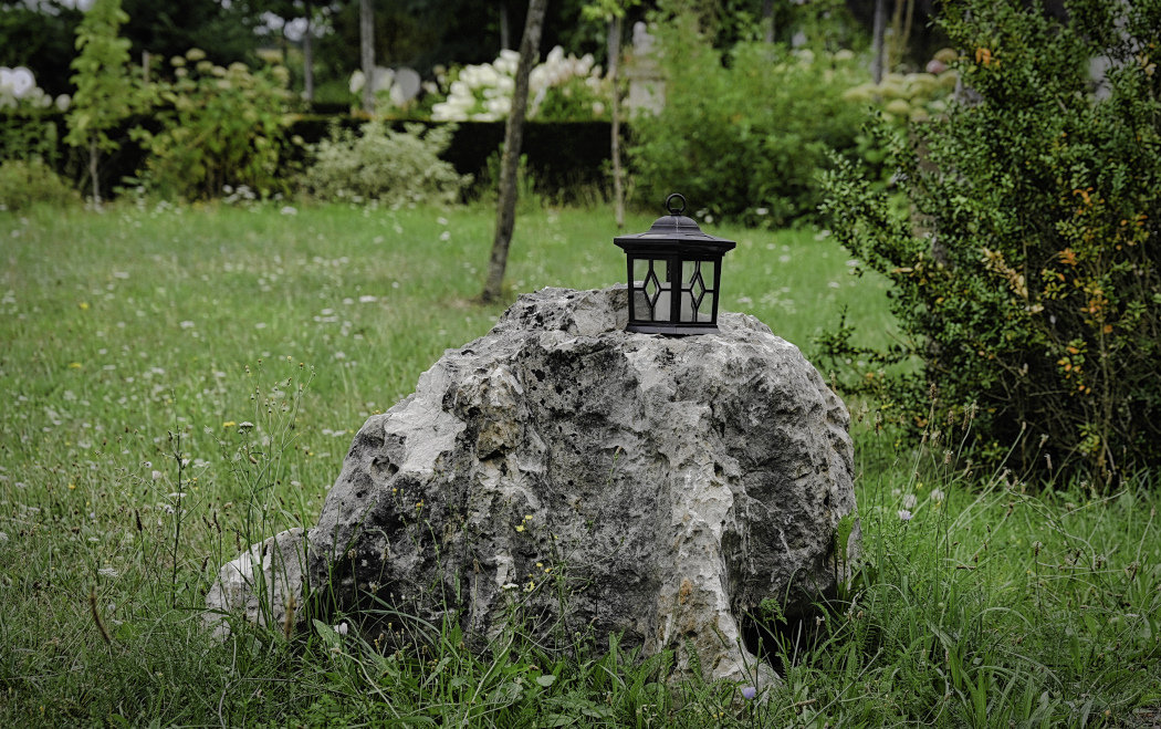 DSC_5080.jpg