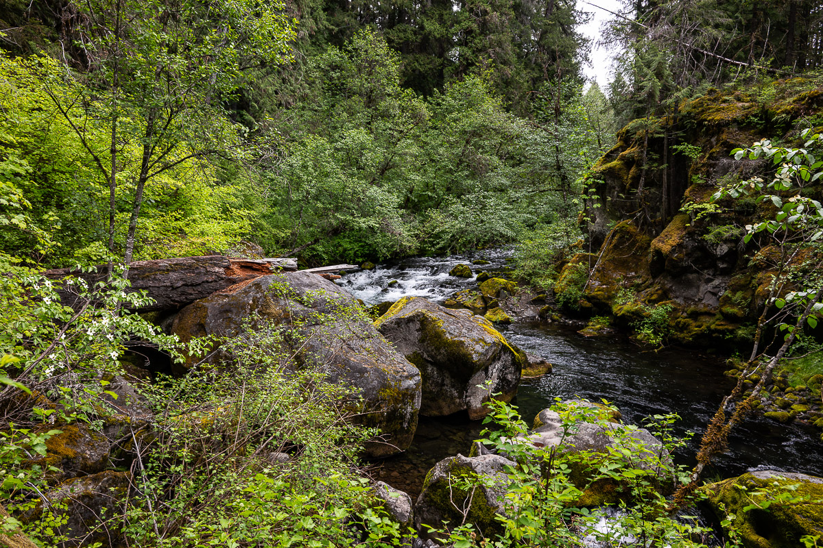 DSC_5106.jpg