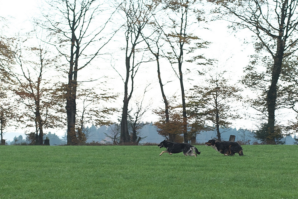 DSC_5114.jpg