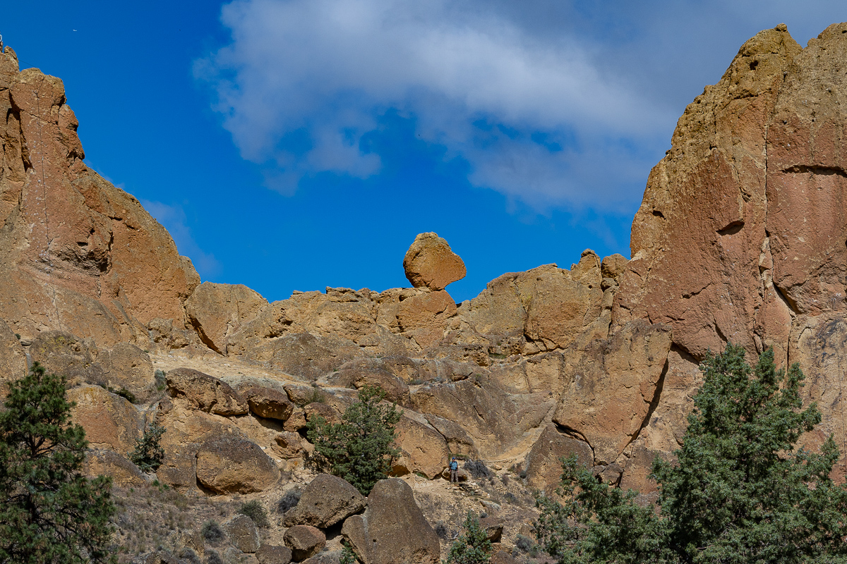 DSC_5119.jpg