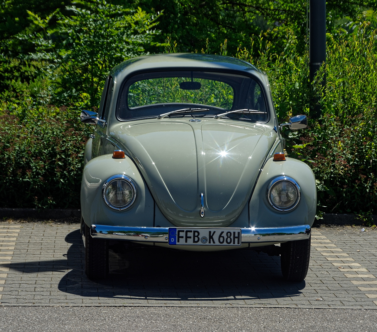 DSC_5119_DxOn.jpg