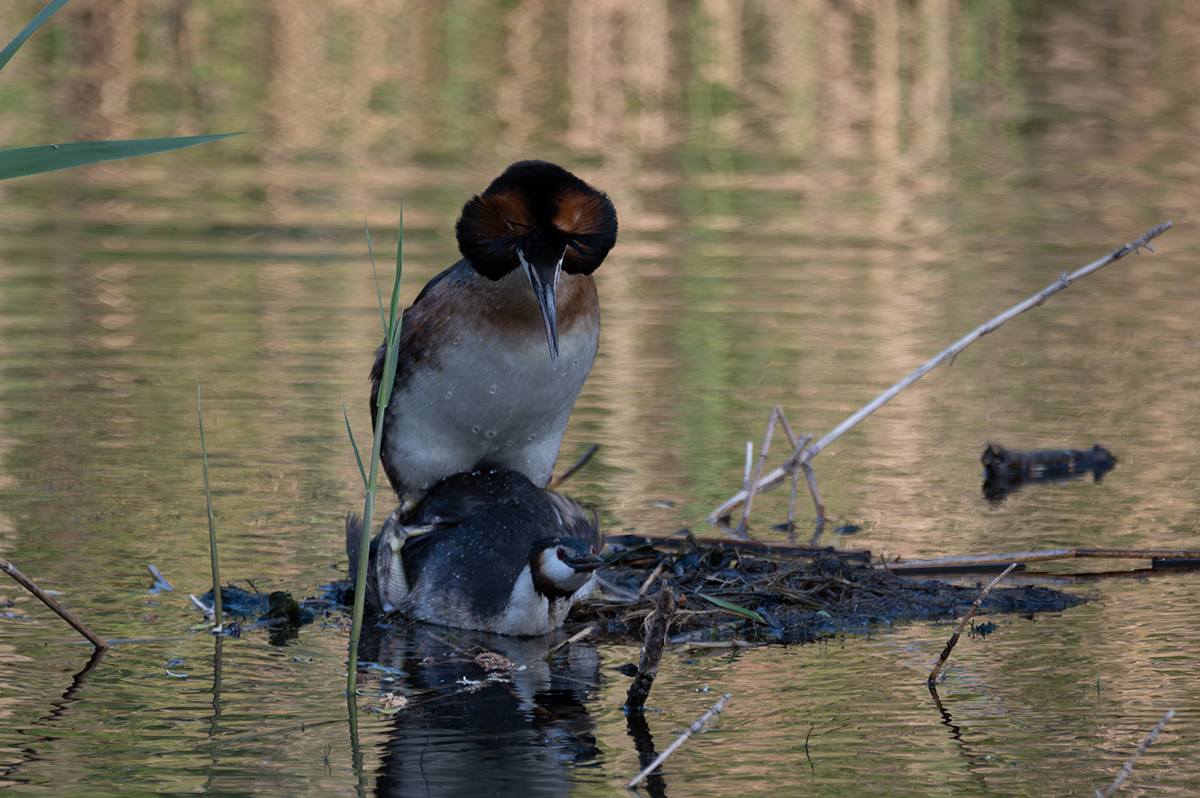 DSC_5121.jpg