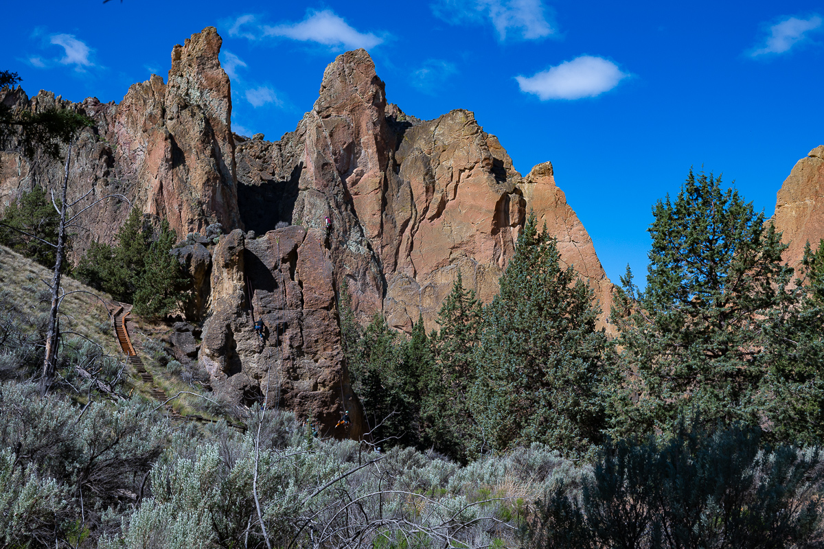 DSC_5121.jpg