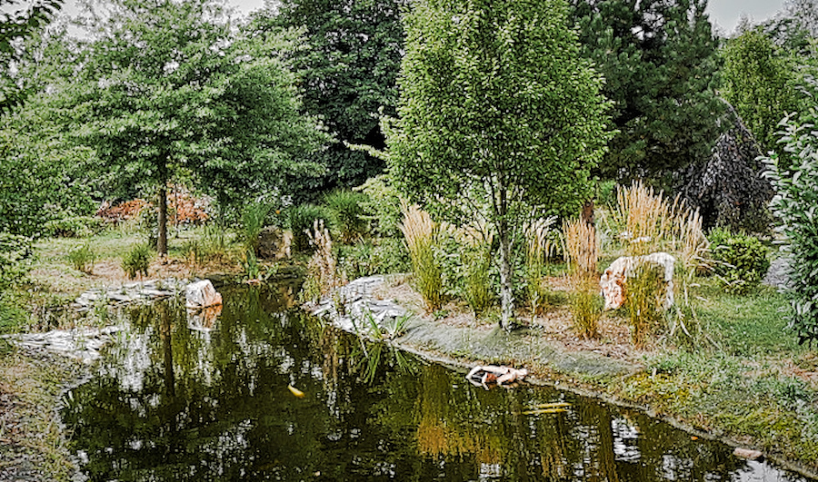 DSC_5131.jpg